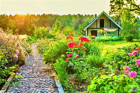 Landscaping Tips: Easy Ways to Beautify Your Yard | ReviewThis