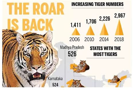 Tiger Conservation in India and the World - All You Need to Know | UPSC ...