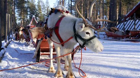 The Santa Claus Express - Overnight Train from Helsinki to Rovaniemi - Top Travel Sights