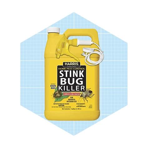 7 Best Stink Bug Repellent Picks to Banish Pests | The Family Handyman