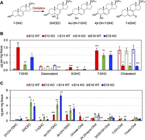 7-Dehydrocholesterol-derived oxysterols cause neurogenic defects in Smith-Lemli-Opitz syndrome ...