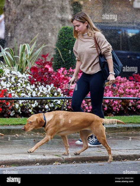 Nova, Rishi Sunak's fox red labrador, is taken for a stroll in Downing ...