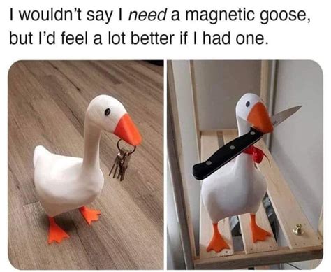 The best Goose memes :) Memedroid