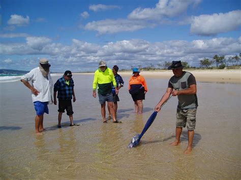 Tin Can Bay Fishing Club News October 2016 | Rainbow Beach Community News