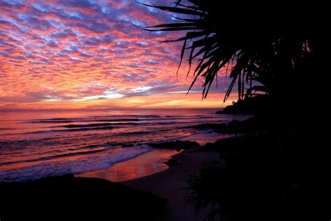 Cabarita Beach Morning Glory | Damien Kloot