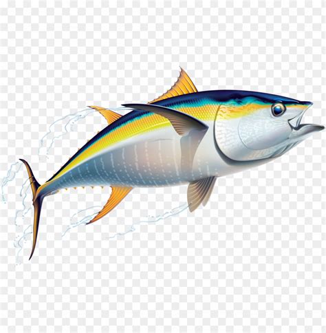 Marine Fish Clipart Australian Fish - Tuna Clip Art PNG Transparent ...