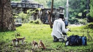 DisneyNature Documentary Offers Glimpse in to 'Monkey Kingdom' - Variety