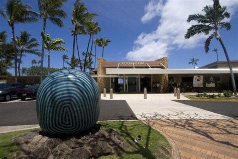 Waikiki Aquarium is one of the very best things to do in Honolulu