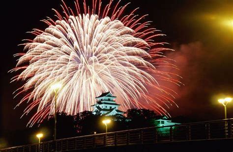 A firework on a special day. bright as the stars in the night sky.