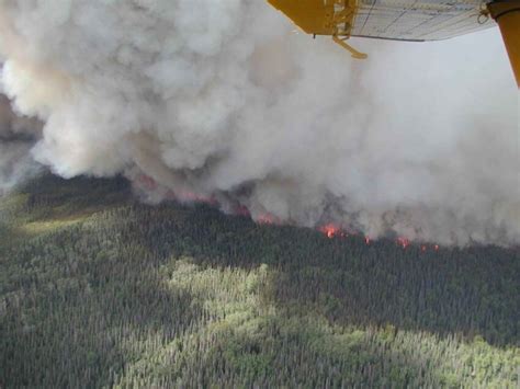 Free picture: huge forest, fire, smoke