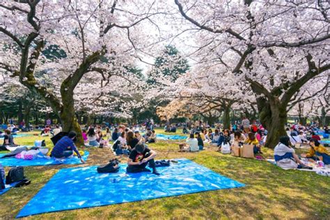 Yoyogi Park Travel Guide - Japan Rail Pass