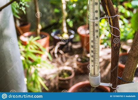 Thermometer in the Greenhouse, Close-up Stock Image - Image of ...