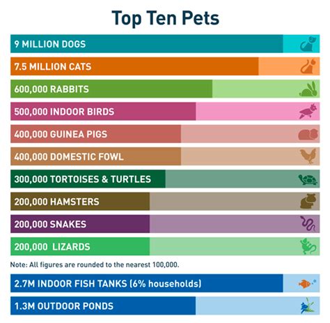 PFMA reveals UK's top 10 pets | Pet Business World