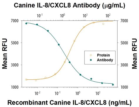 Canine IL-8/CXCL8 Antibody MAB1608: R&D Systems