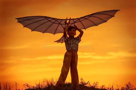 In Dreams about Flying. Boy Takes a Kite Over His Head Stock Image - Image of grass, goal: 140326865