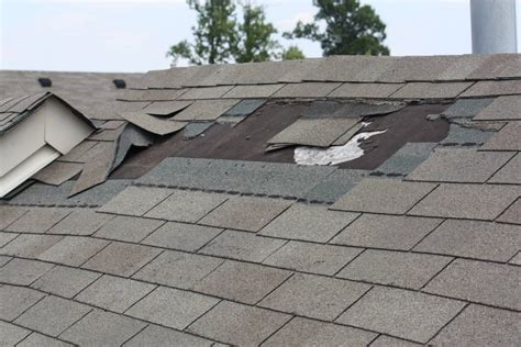 How to Repair Roof Leak Yourself Step by Step - Healthy Flat