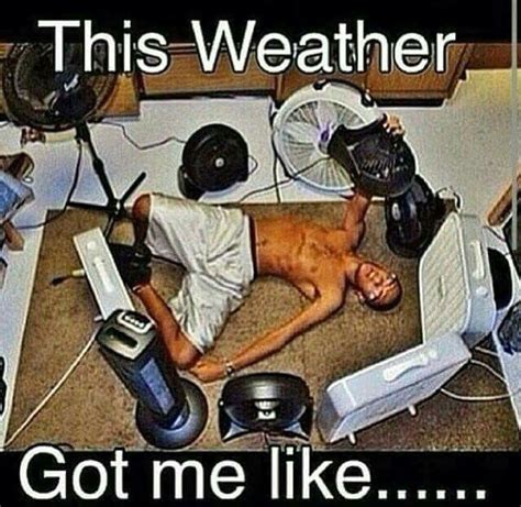 Summer in Alabama be like...... | Funny pictures, Funny jokes, Funny weather