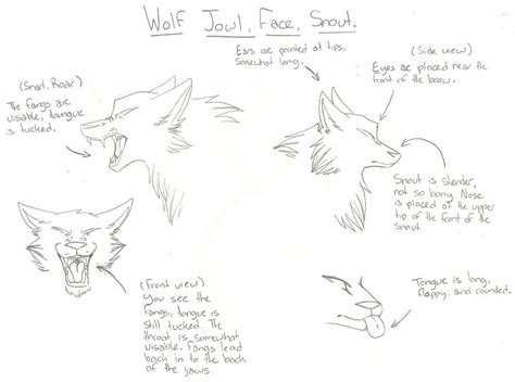 Wolf Face-Mouth Reference by miss-fenris on DeviantArt