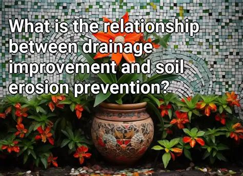 What is the relationship between drainage improvement and soil erosion ...