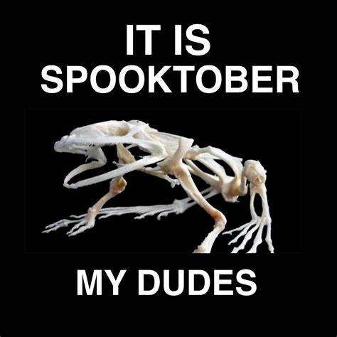 Need more spooky memes | /r/memes | It Is Wednesday My Dudes | Know Your Meme