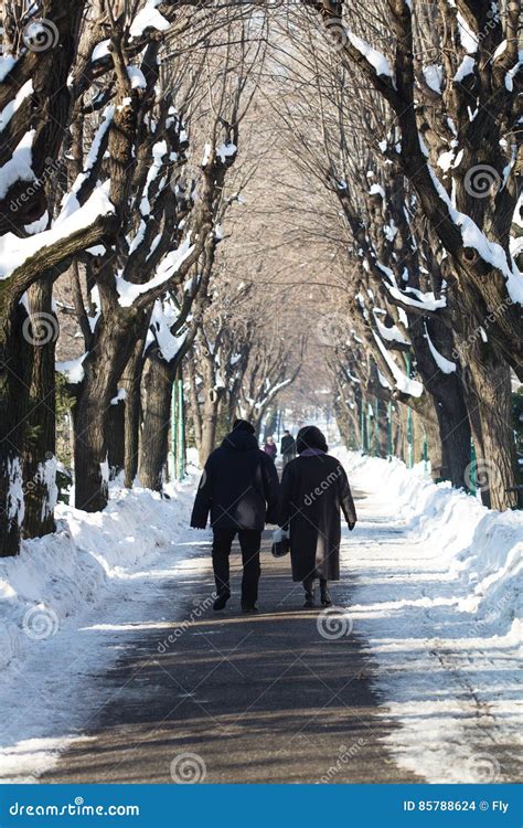 Old people walking in park editorial stock image. Image of alley - 85788624