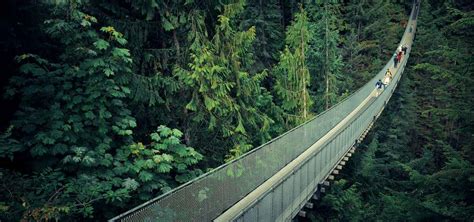 Capilano Suspension Bridge & Cliffwalk, British Columbia | Roadtrippers