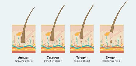 Hair Loss Products | Custom Hair Loss Product Generator | CareFirst Specialty Pharmacy