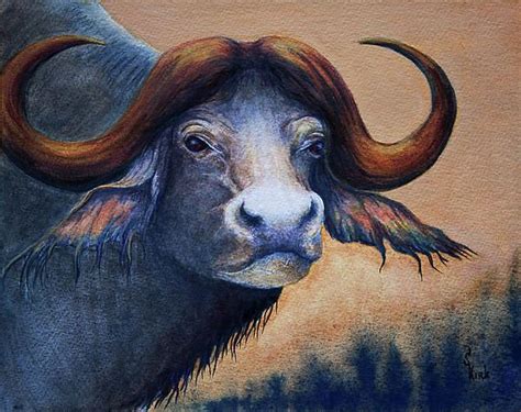 Water Buffalo by Sheila Kirk | Water buffalo, Buffalo painting, Art