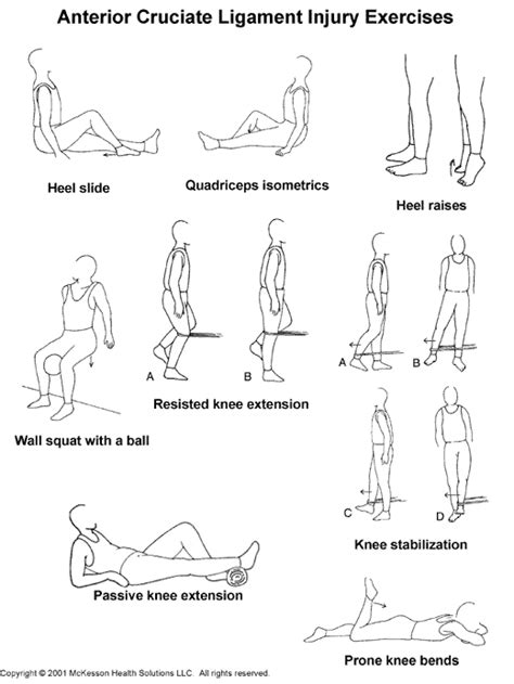 Sports Medicine Advisor 2003.1: Anterior Cruciate Ligament Sprain (ACL) Exercises: Illustration