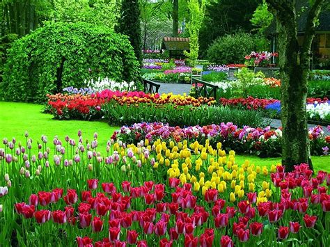 5-five-5: Keukenhof Gardens (Lisse - Netherlands)