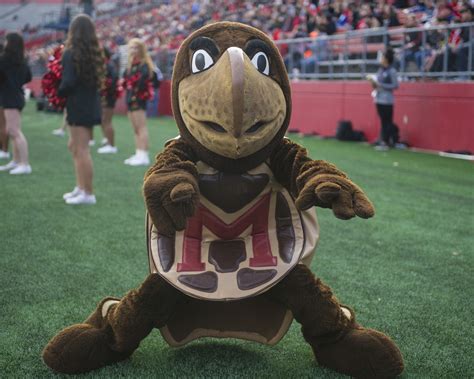 Maryland Football: Maryland Terrapins Football Mascot