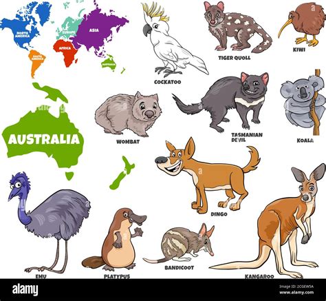 Educational Cartoon Illustration of Australian Animals Set and World ...