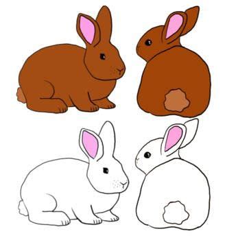 clipart rabbits 10 free Cliparts | Download images on Clipground 2023