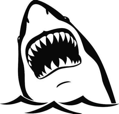 Black shark isolated on white background | Shark illustration, Shark art, Shark silhouette