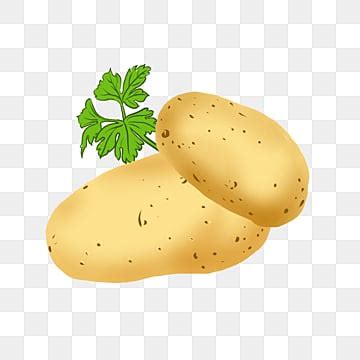 Potato Clipart Images | Free Download | PNG Transparent Background - Pngtree