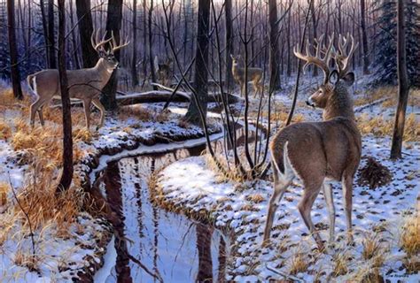 HD Printed Modern Office Decor Art Wall Decoration oil Paintings Animals Snow White Tailed Deer ...