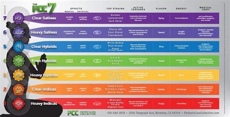 Fantastic infographic of cannabis strains | Boing Boing