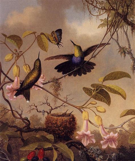 TROPICALIZER: Martin Johnson Heade // Orchids and Hummingbirds | Martin ...