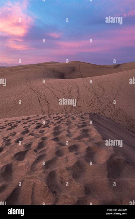 Gran Canarias dunes, Maspalomas, paths on sand Stock Photo - Alamy