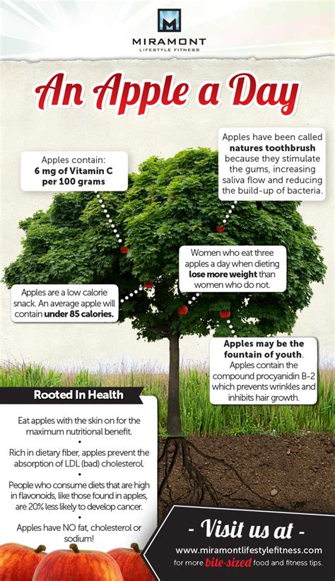 Surprising Apple Benefits Infographic – NaturalON - Natural Health News and Discoveries