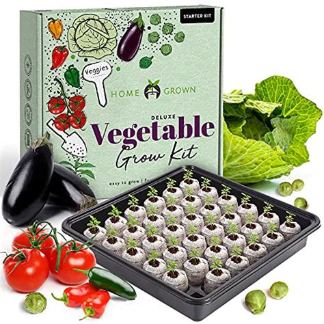 Top 10 Best Indoor Vegetable Garden Kit : Reviews & Buying Guide - Katynel