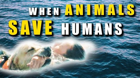 ANIMALS That SAVED HUMAN LIVES - YouTube