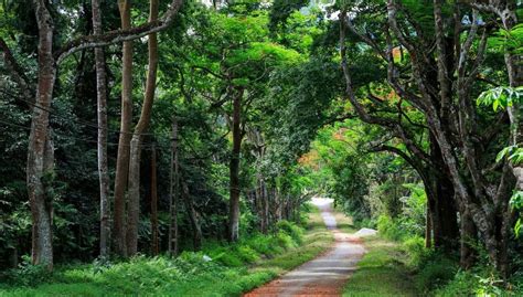 Hanoi - Cuc Phuong National Park