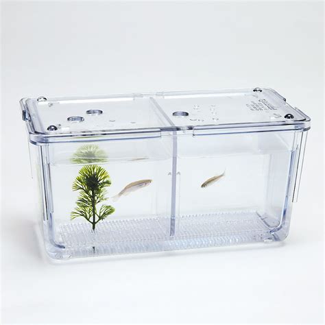 Zebra Fish Breeding Tank | Carolina.com