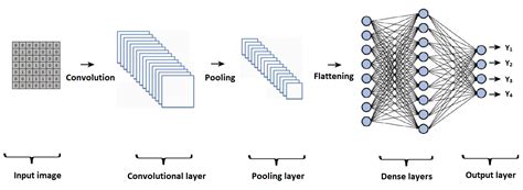 Convolutional Neural Network Vs Regular Neural Network - Printable Templates Free