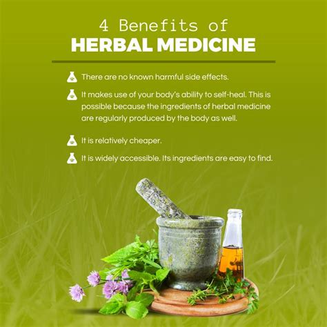 4 Benefits of Herbal Medicine -There are no known harmful side effects. -It makes use of your ...