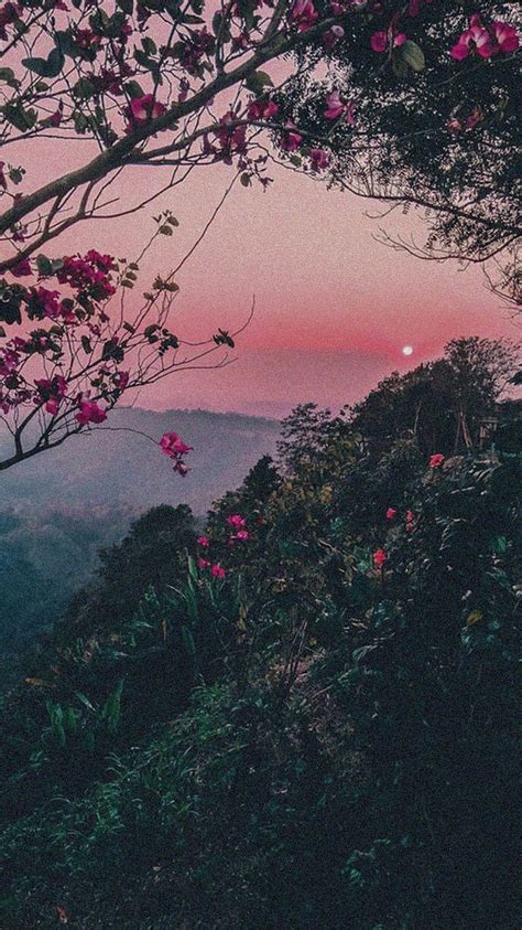 Aesthetic Nature Tumblr HD phone wallpaper | Pxfuel