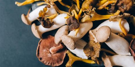 Adaptogenic Mushrooms: Benefits, Types, And How To Use Them