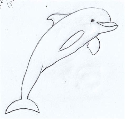 Weekly : Doodles and tuts: How to draw a Dolphin tutorial