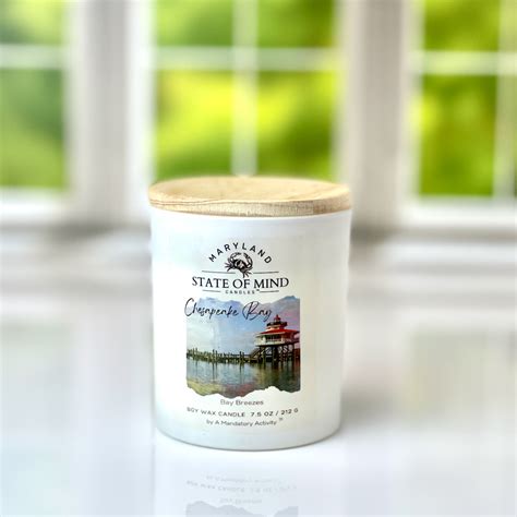 Chesapeake Bay Soy Candle - A Mandatory Activity Candles